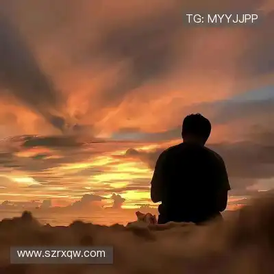 支宏聪